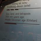 zdjęcie nr 53