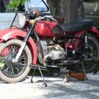 zdjęcie nr 55