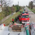 Fotka nr 2 z 14