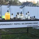 zdjęcie nr 58