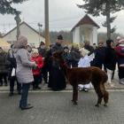 zdjęcie nr 36