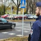 Fotka nr 1 z 12