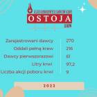Fotka nr 5 z 7