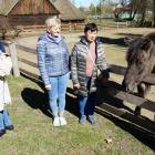 zdjęcie nr 49