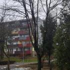 Fotka nr 2 z 5