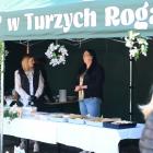 zdjęcie nr 173