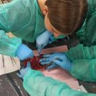 Fotka nr 2 z 6