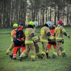 Fotka nr 5 z 7