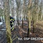 Fotka nr 1 z 7