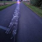 Fotka nr 2 z 4