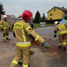Fotka nr 1 z 12
