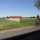 zdjęcie nr 185