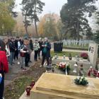 zdjęcie nr 26