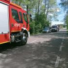 Fotka nr 4 z 5