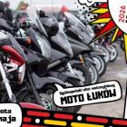 zdjęcie nr 10