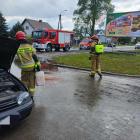 Fotka nr 2 z 3