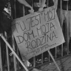 zdjęcie nr 20