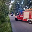 Fotka nr 4 z 5