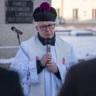 zdjęcie nr 17