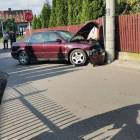 Fotka nr 1 z 4