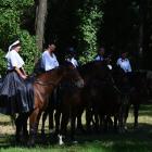 zdjęcie nr 18