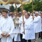 zdjęcie nr 230