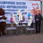 zdjęcie nr 269