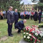 zdjęcie nr 31