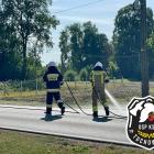 zdjęcie nr 8