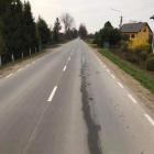 Fotka nr 2 z 3