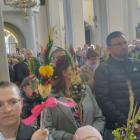 zdjęcie nr 10