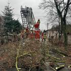 zdjęcie nr 7