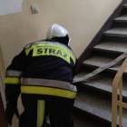 zdjęcie nr 8