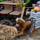 zdjęcie nr 107