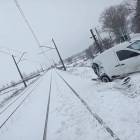 Fotka nr 2 z 5
