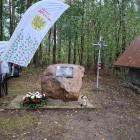 zdjęcie nr 15
