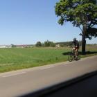 zdjęcie nr 186