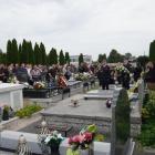 zdjęcie nr 80