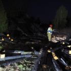 Fotka nr 4 z 12