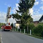 Fotka nr 2 z 4