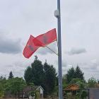 Fotka nr 3 z 13