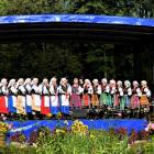zdjęcie nr 13