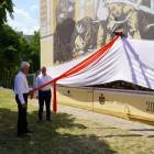 zdjęcie nr 20