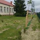 zdjęcie nr 9