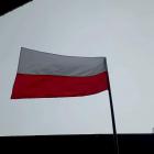 zdjęcie nr 10