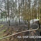 Fotka nr 5 z 7
