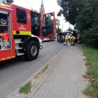 Fotka nr 1 z 2