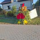 zdjęcie nr 8