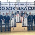 Fotka nr 0 z 20
