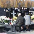 zdjęcie nr 12